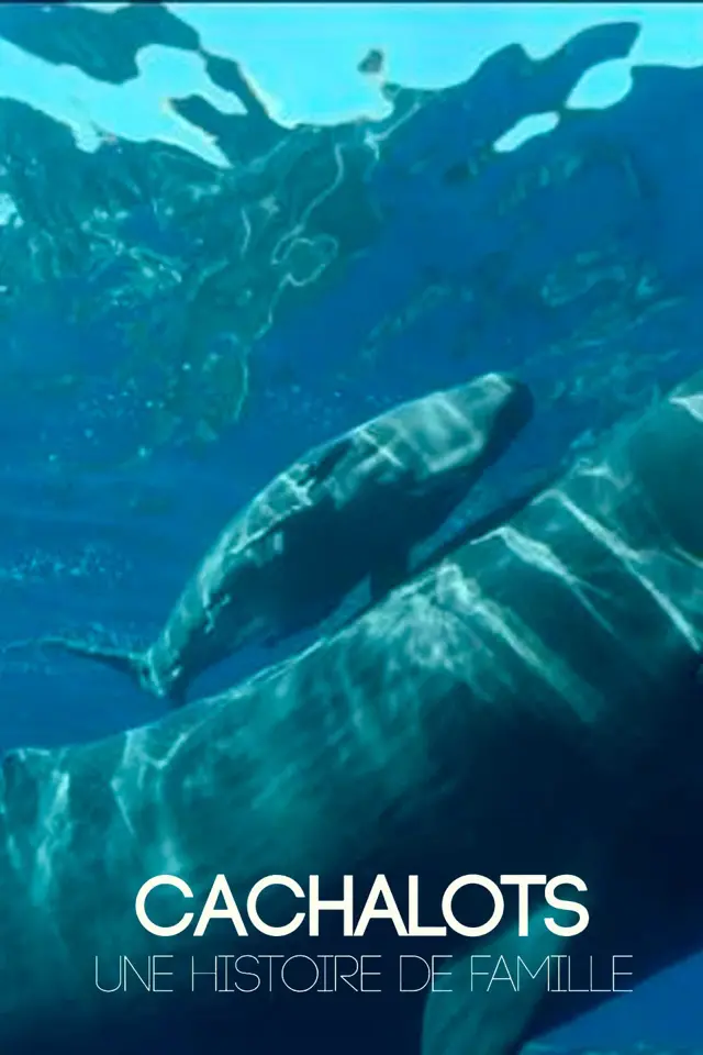 image-moviess