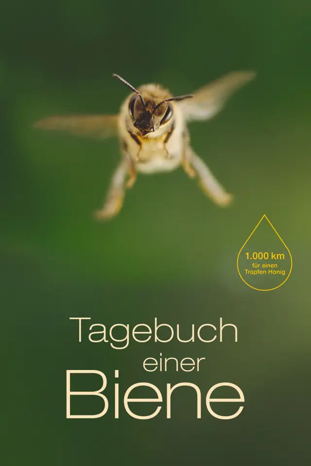 image-moviess