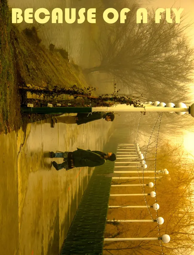 image-moviess
