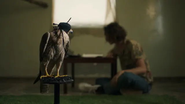 image-movies
