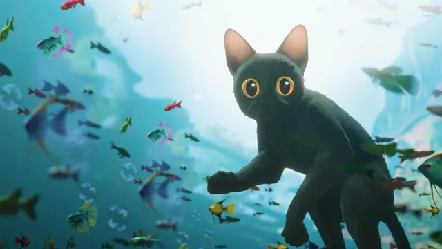 image-movies