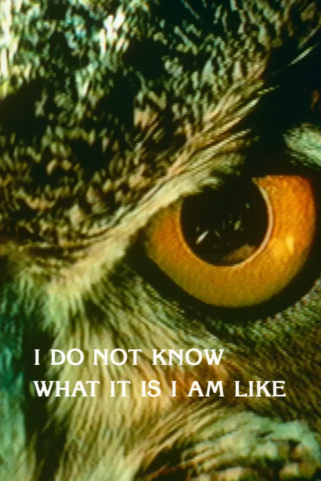 image-moviess