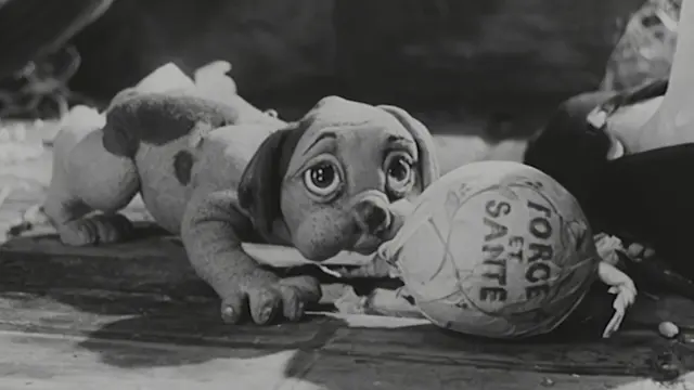 image-movies