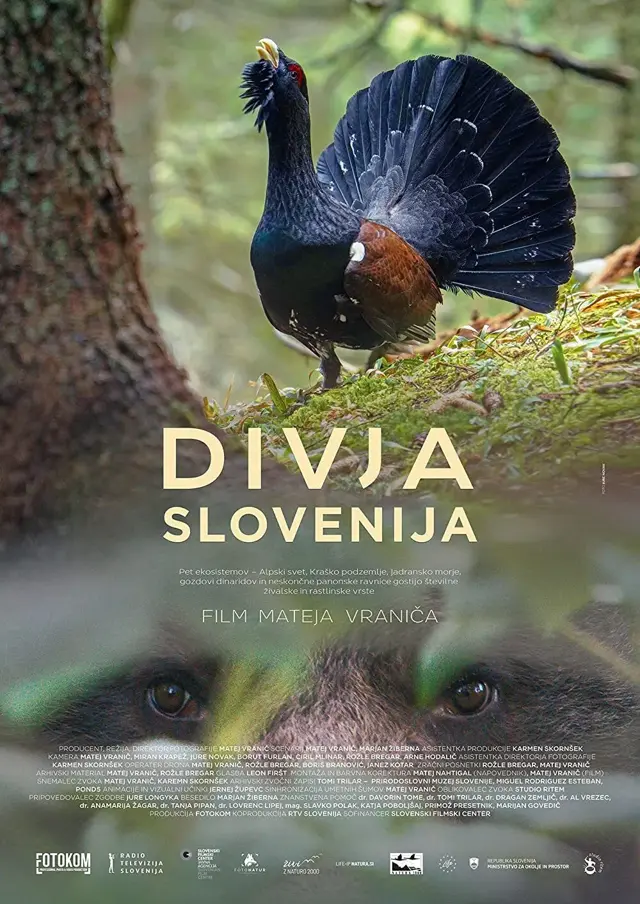 image-moviess