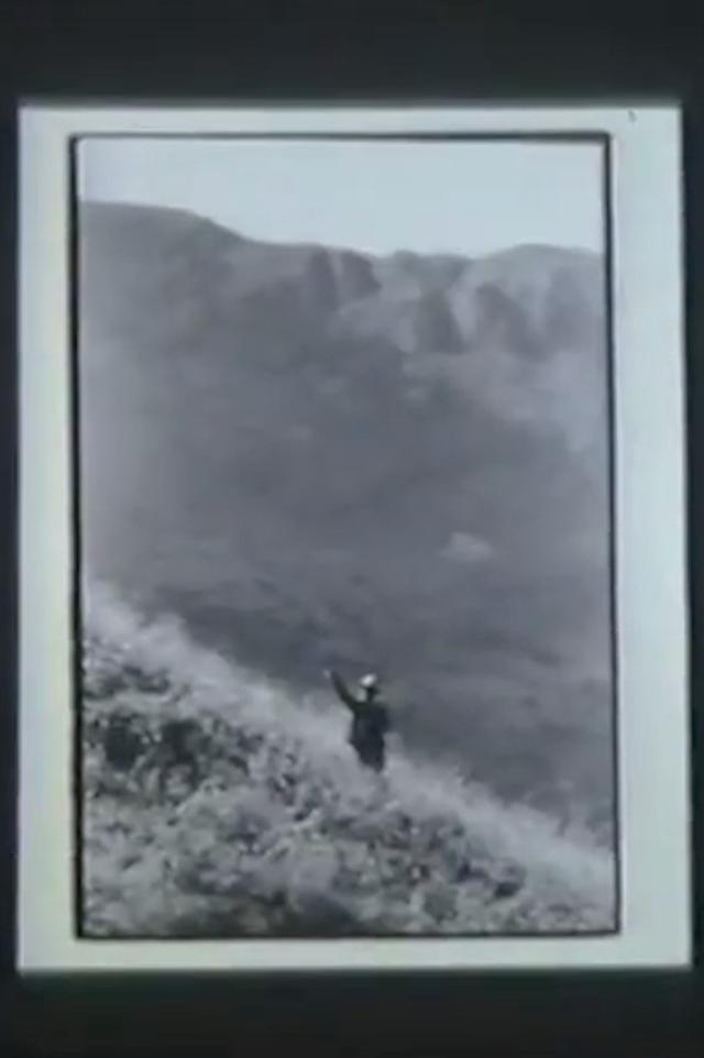 image-movies
