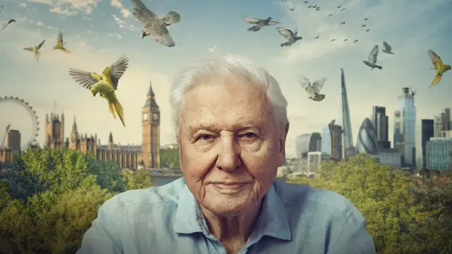 image-movies