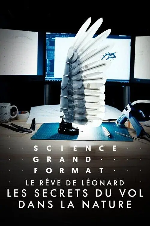 image-moviess