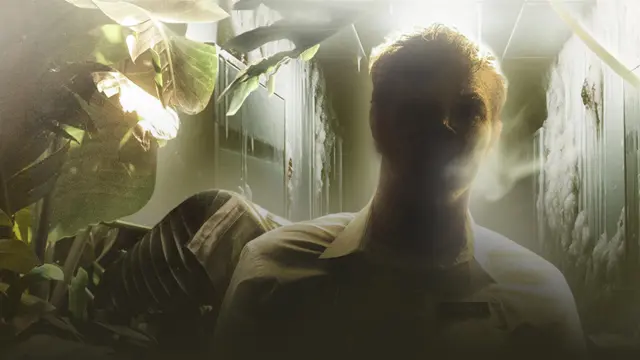 image-movies