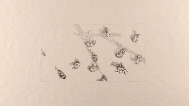 image-movies