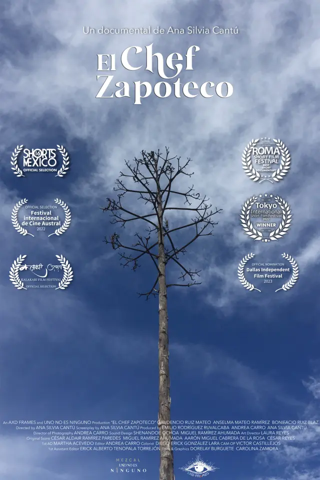 image-movies