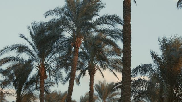 image-movies