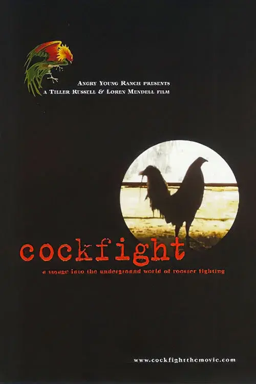 image-movies