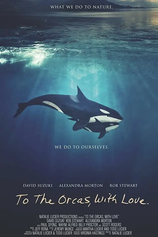 image-movies