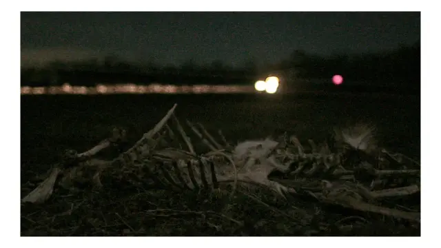 image-movies