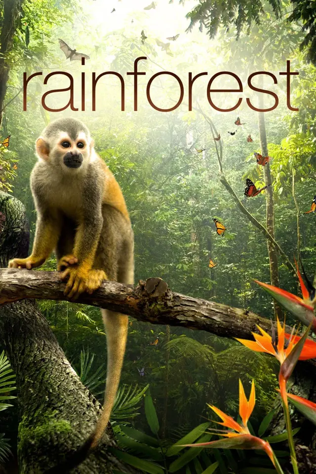 image-moviess