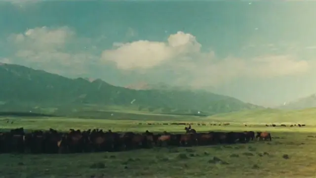 image-movies