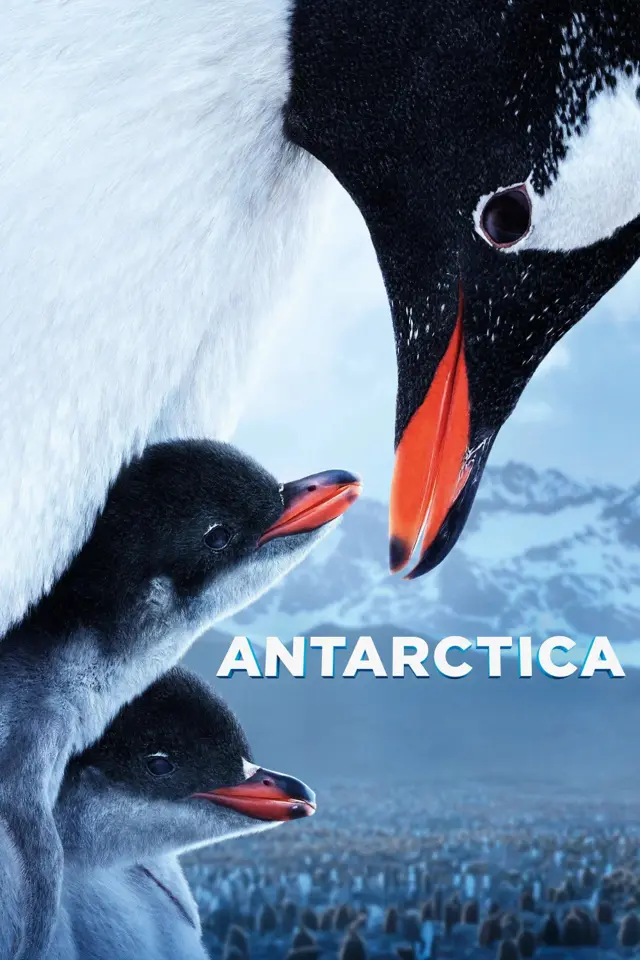 image-moviess