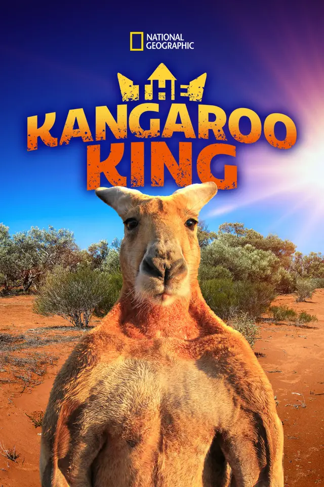 image-moviess