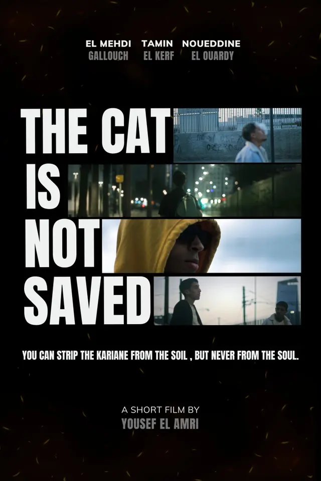 image-moviess
