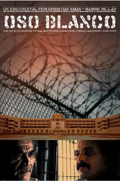 image-movies