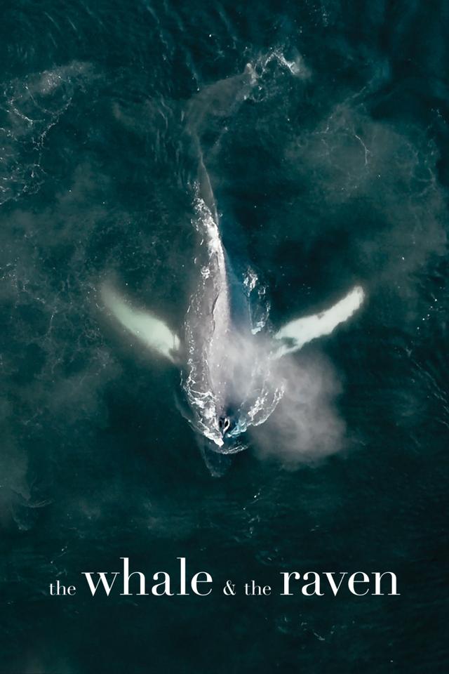 image-moviess