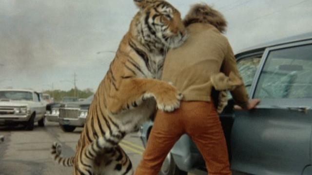 image-movies