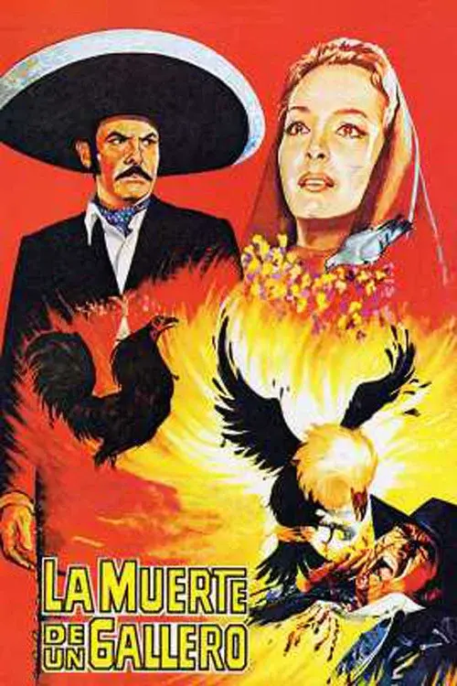 image-movies