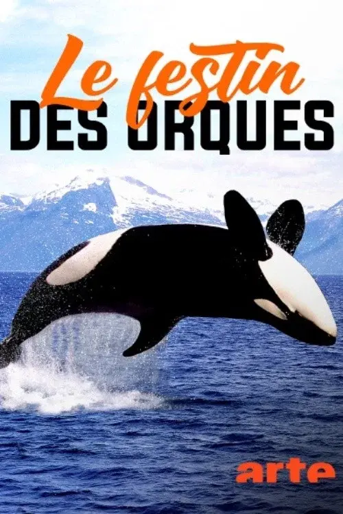 image-moviess