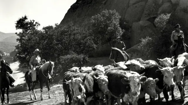 image-movies
