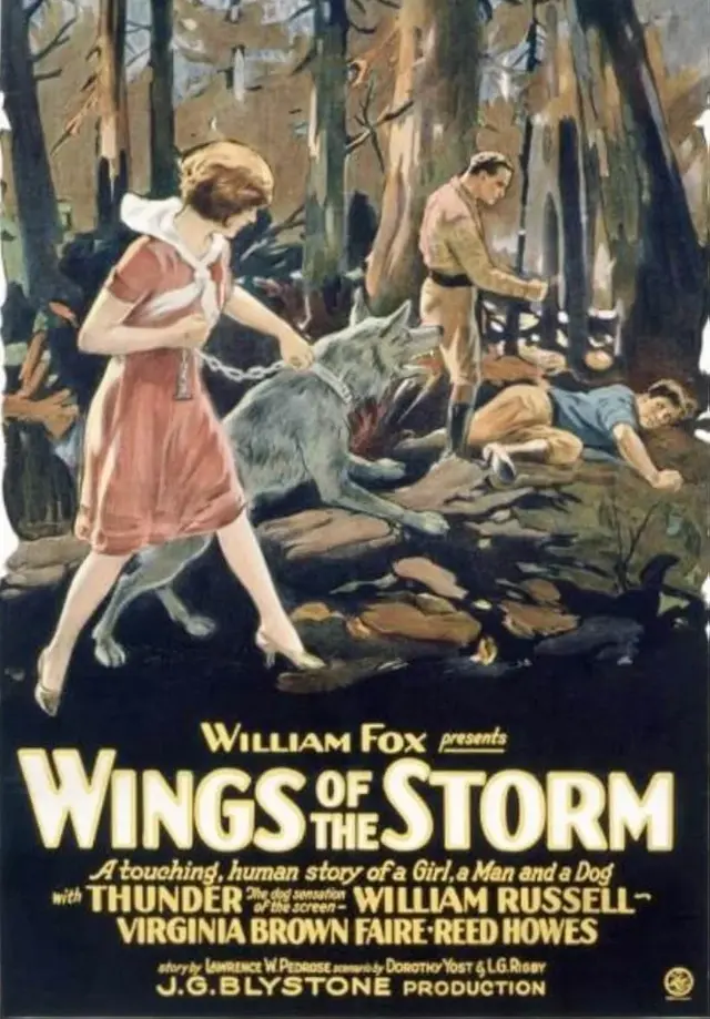 image-movies