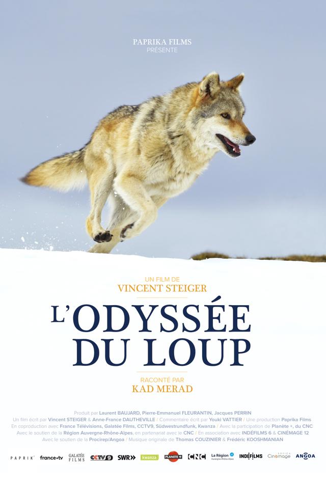 image-moviess