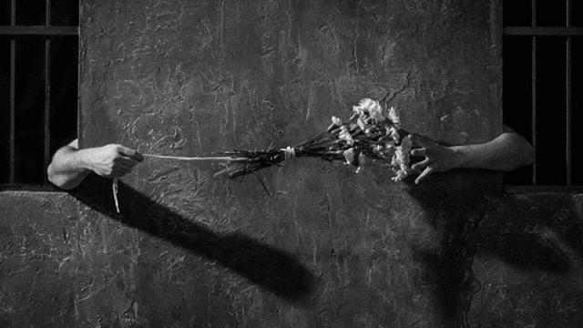 image-movies