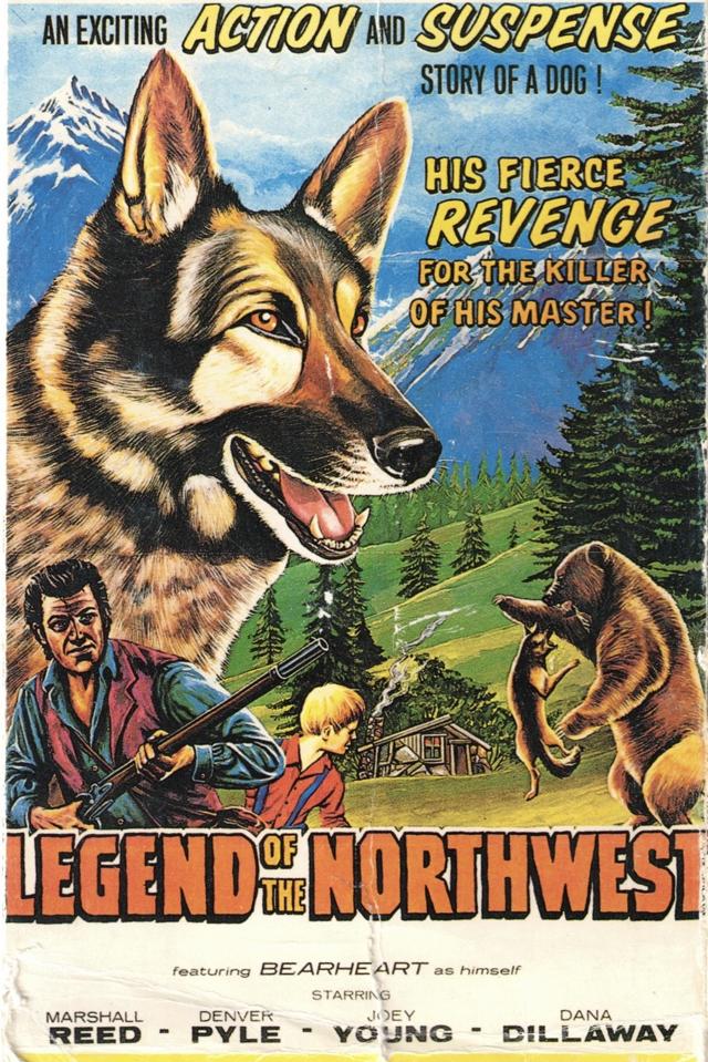 image-movies