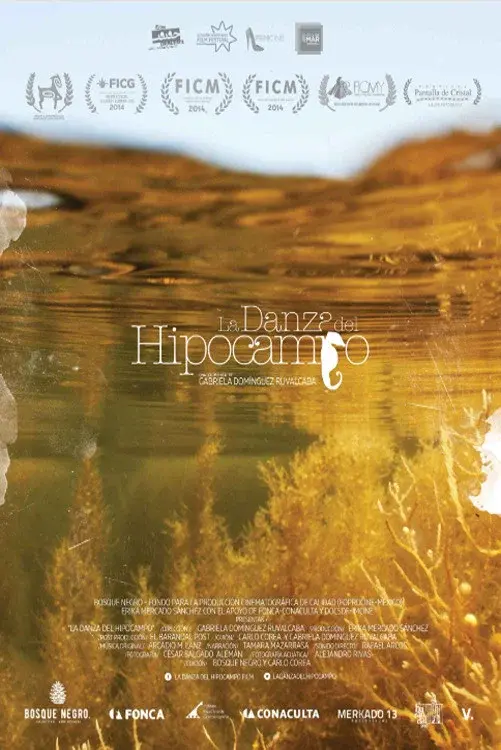 image-movies