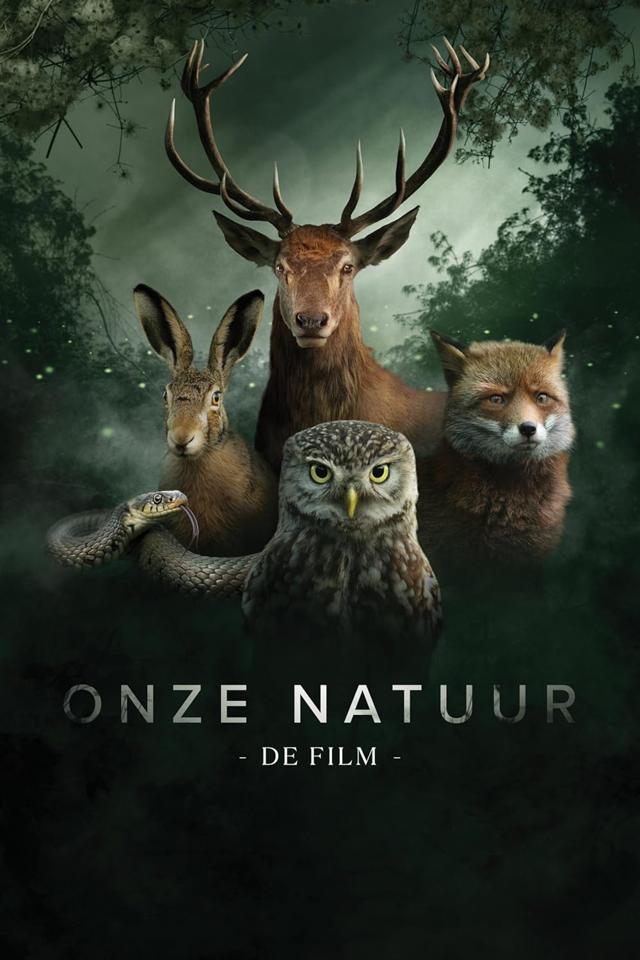 image-moviess