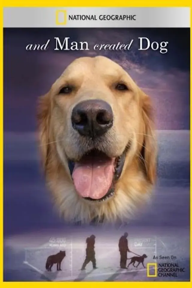 image-moviess