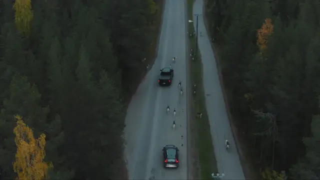 image-movies