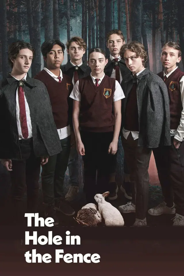 image-moviess