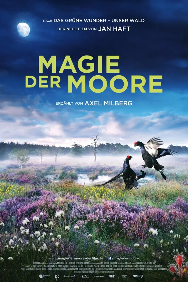 image-moviess