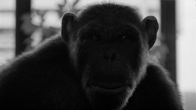 image-movies