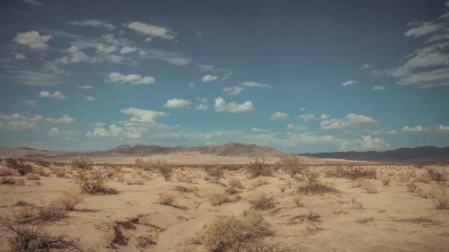 image-movies
