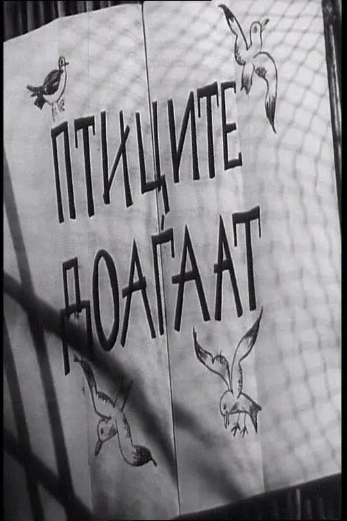image-movies