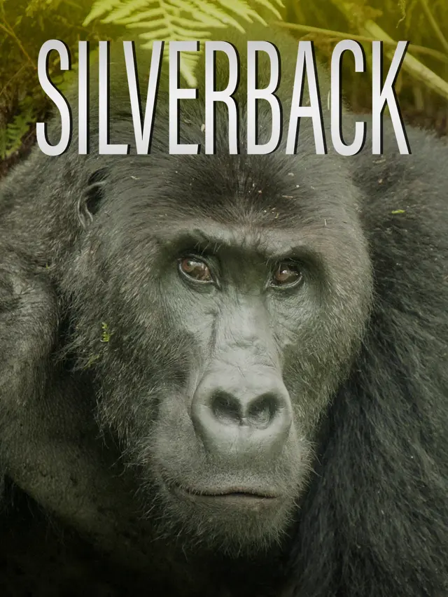 image-moviess