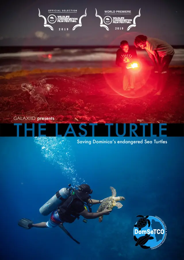 image-movies