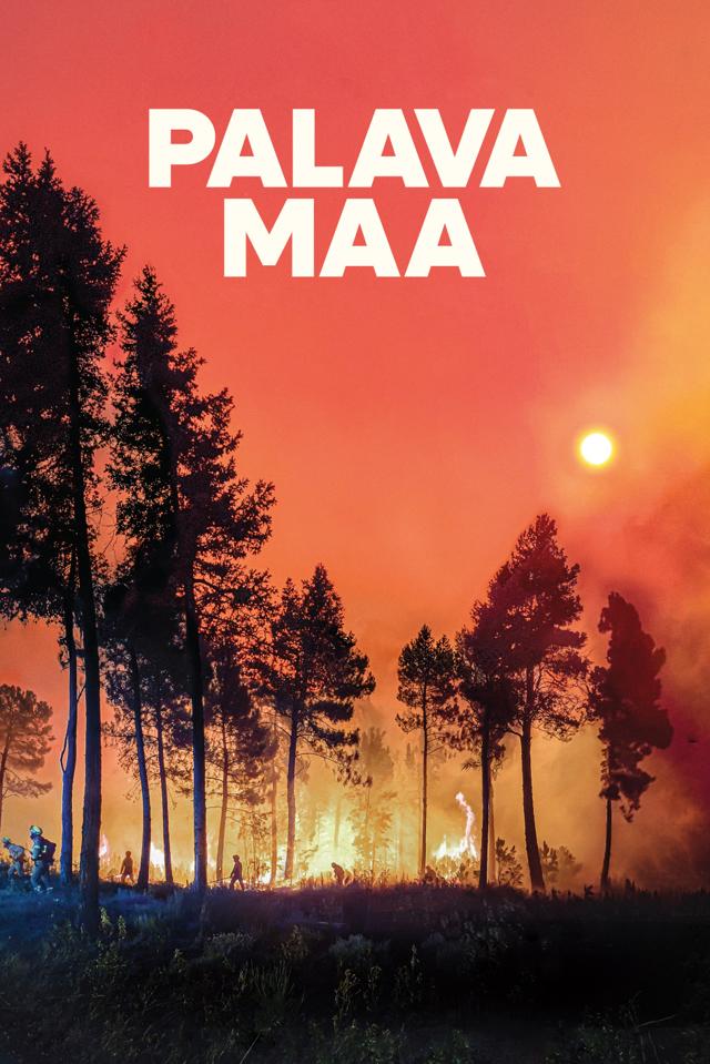 image-moviess