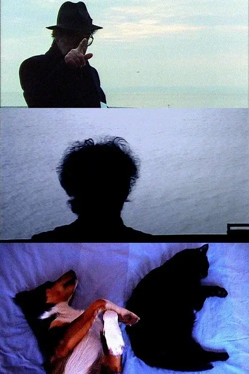 image-movies