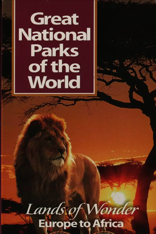 image-movies