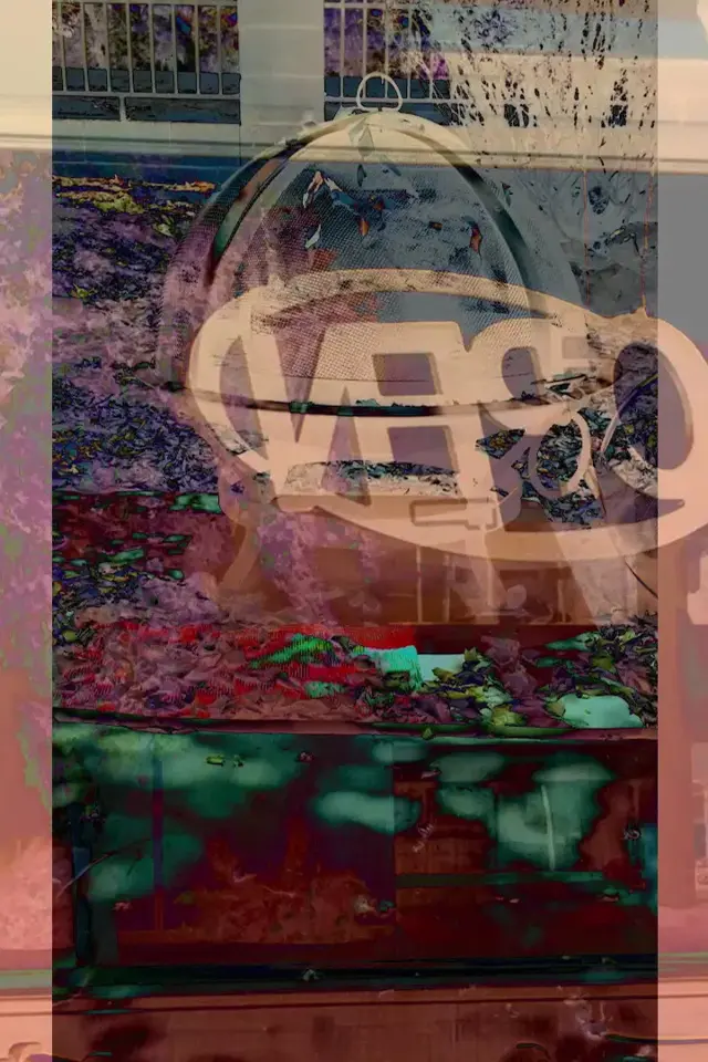 image-moviess