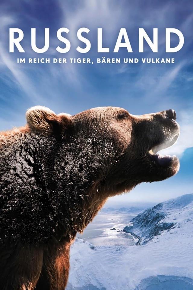 image-moviess