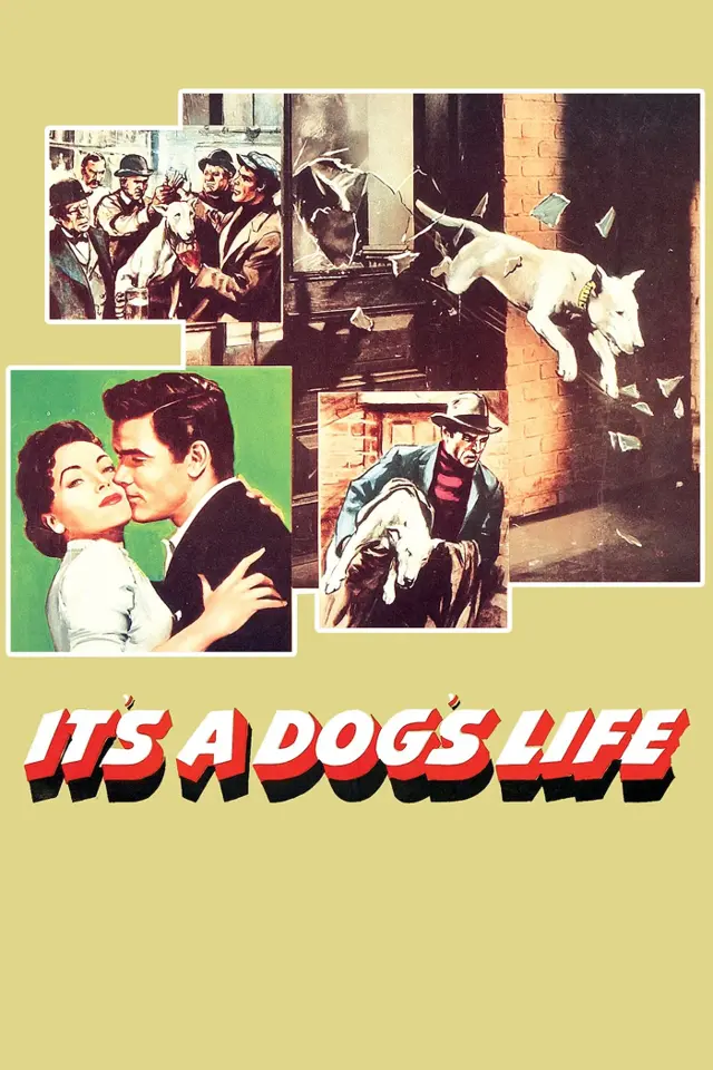 image-moviess